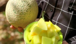 娱乐圈吃瓜橙子,揭秘吃瓜橙子的幕后故事